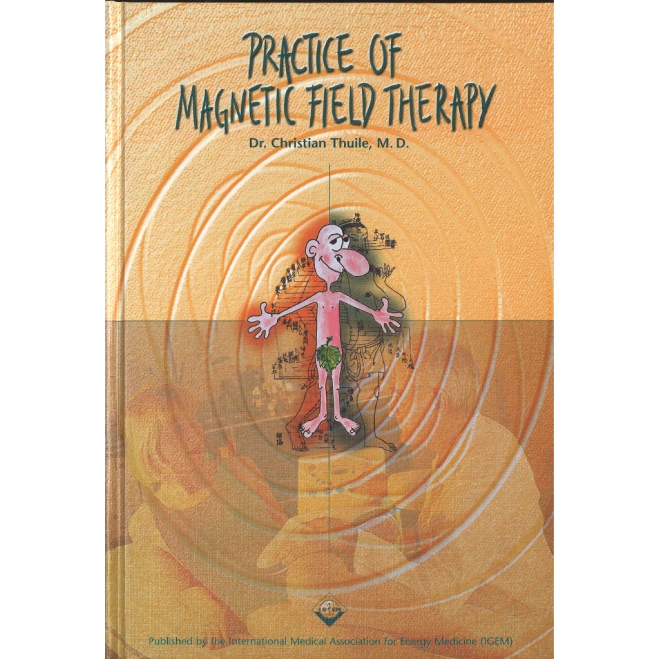 Practice of magnetic field therapy