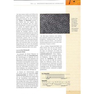 Studienbuch Magnetfeldtherapie (MRS)